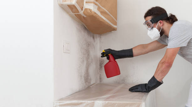Professional Basement Mold Remediation technician working in Barco, NC